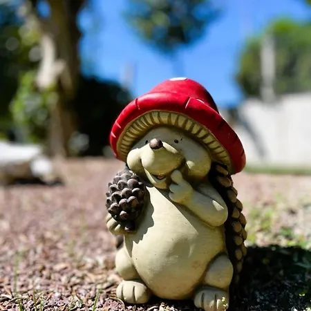 Hysaj Appartamento *